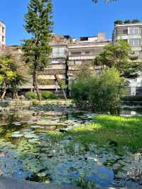 漫步自在時光 |  | 佛山垂虹公園。