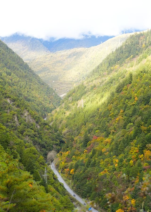 曾家山。
