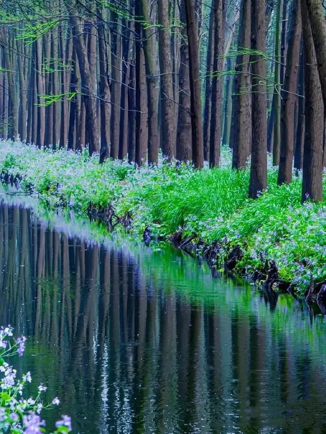 A comprehensive 2-day guide to Taizhou. 