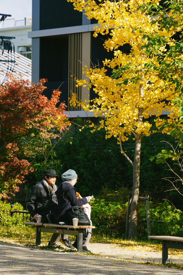京都楓葉非凡體驗｜紅葉公園手工市集。