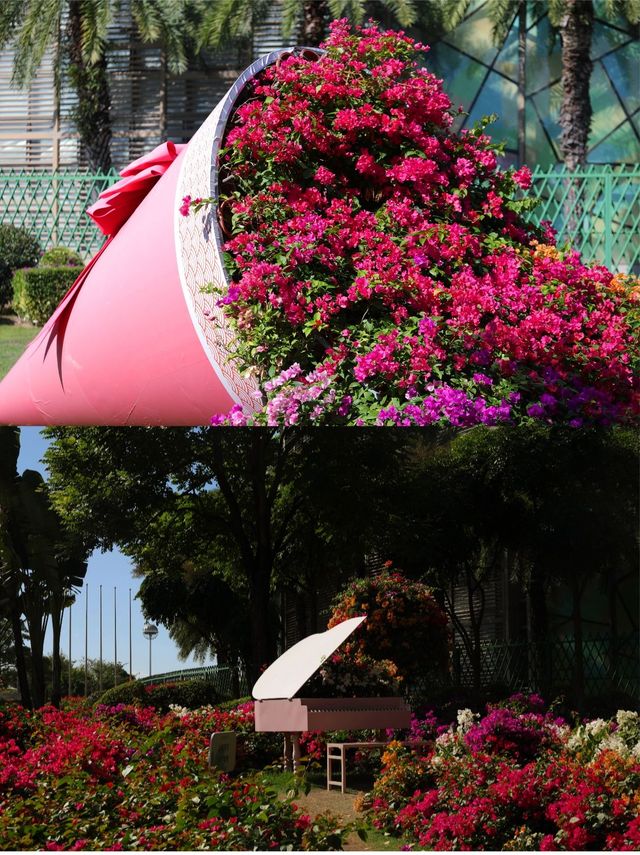 冬季限定衝呢片浪漫花海後悔先知。