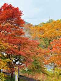 東京｜青梅御岳溪谷 關東紅葉秘境。