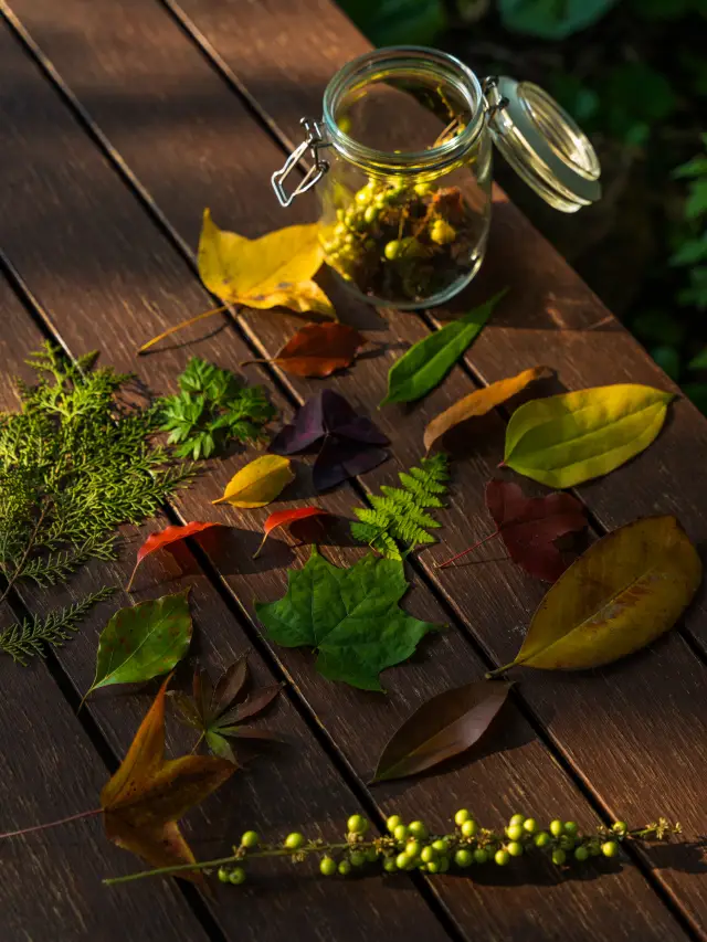 南京老山の紅葉狩りコース、秋は自然の調色盤です！