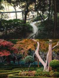 上海市區這個秋日公園，即將美到封神！！