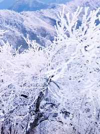 深圳出發2小時，高鐵直達看雪景