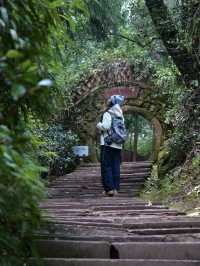 成都周邊秘境行山路線！！！！（附攻略）