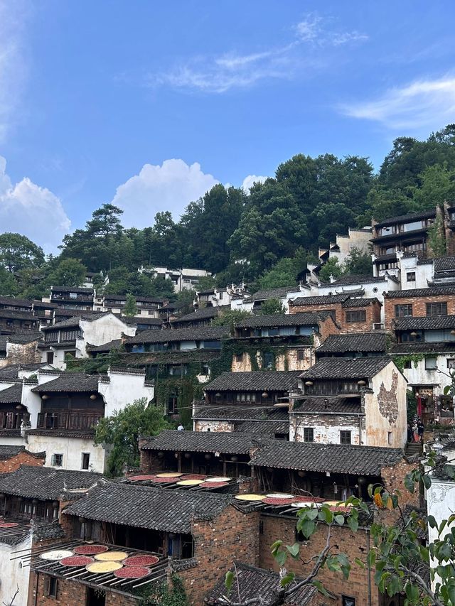 婺源5日遊 玩轉全景不重樣超詳細