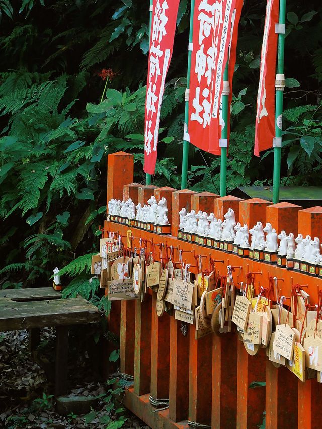 7日玩遍日本 冬天出遊正當時