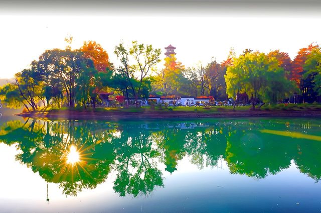 深秋的武漢解放公園——紅得發紫