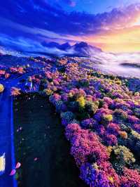 貴陽旅遊