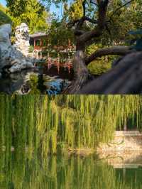 鄭州紫荊山公園遊覽攻略！帶你看遍美景！
