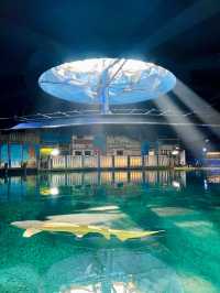 Experience the Romance of Hong Kong's Ocean Park