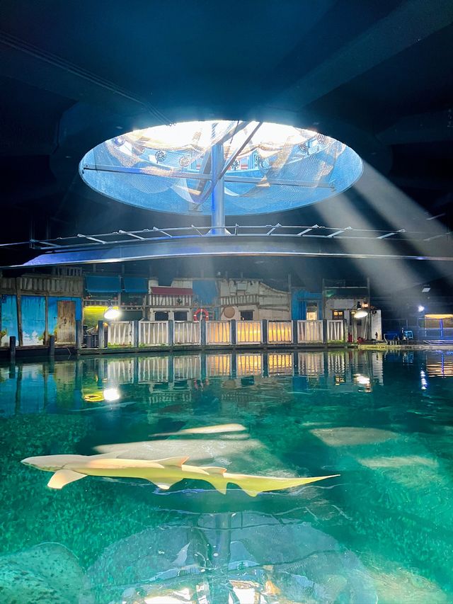 Experience the Romance of Hong Kong's Ocean Park