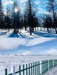 來自內蒙烏蘭察布草原白雪公主美麗的]秘密