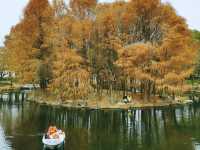 上海市五星級公園~~古華園
