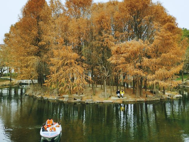 上海市五星級公園~~古華園