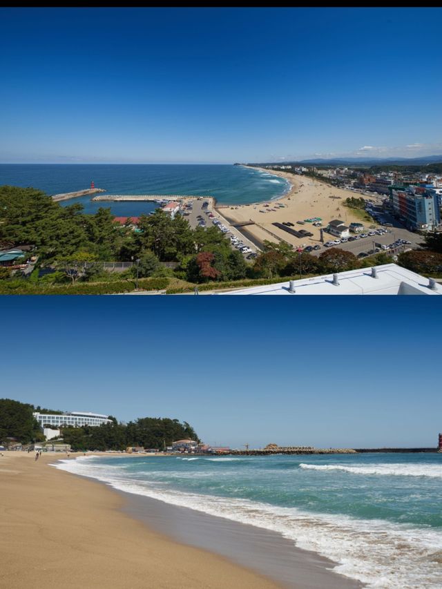 納山海灘酒店：韓國襄陽的絕美海濱綠洲