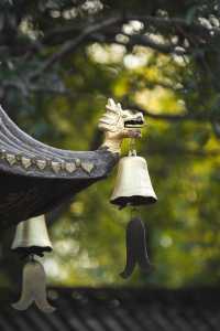桂林冬日旅行推薦，這座低調的古風公園應該有姓名