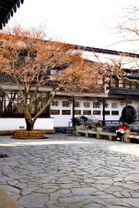 訪蘇州環秀山莊