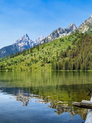 설날 20일 미국 여행 예상치 못한 멋진 경험