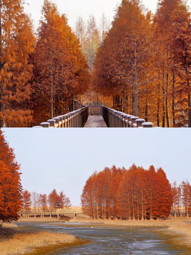島嶼上嘅藍與紅
