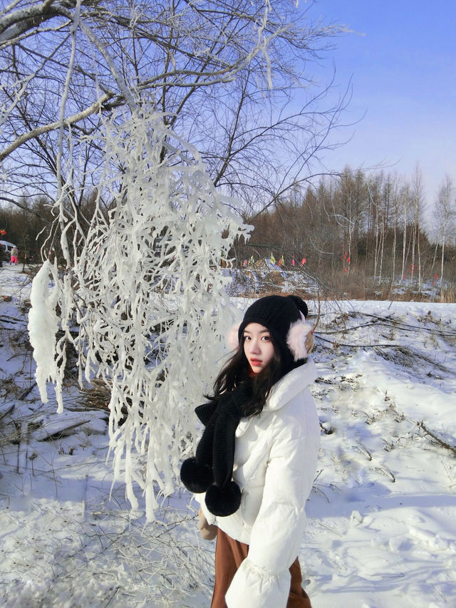 人少景美！邂逅四川冰雪童話世界