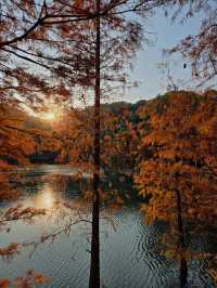 #中山金鐘湖公園：迷人湖景