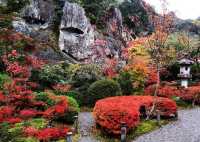 秋日秘境 | 日本小松·那谷寺的紅葉夢境