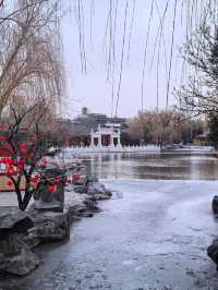 春節讀紅樓遊大觀園  體會古典文學藝術