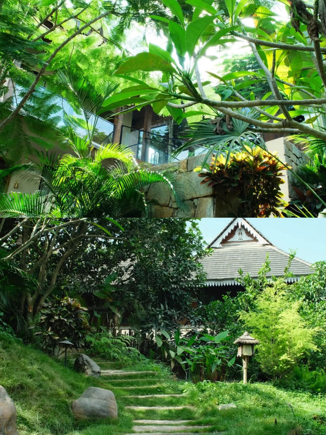 西雙版納!住進傣寨裡，醒在叢林裡