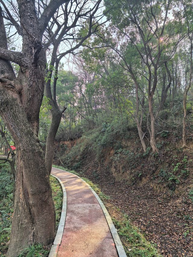 桃花嶺山脊線-嶽麓山穿越