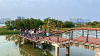 立新湖公園