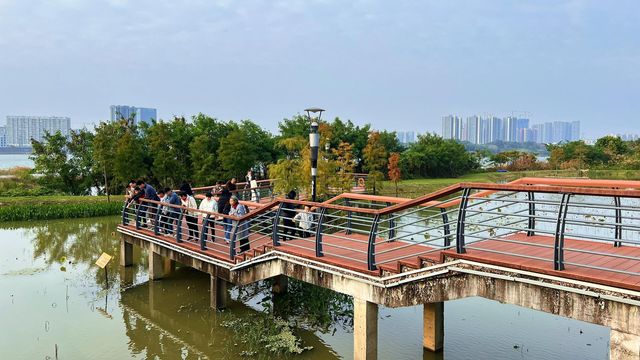 立新湖公園