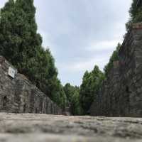洛帶金龍長城，一起爬山看風景