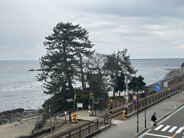 日本中部升龍道踏雪之旅