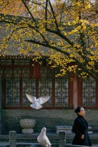 這座擁有1700多年歷史的寺廟的美，太震撼