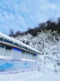 成都周邊遊滑雪攻略|南方人可真的太喜歡看雪啦~