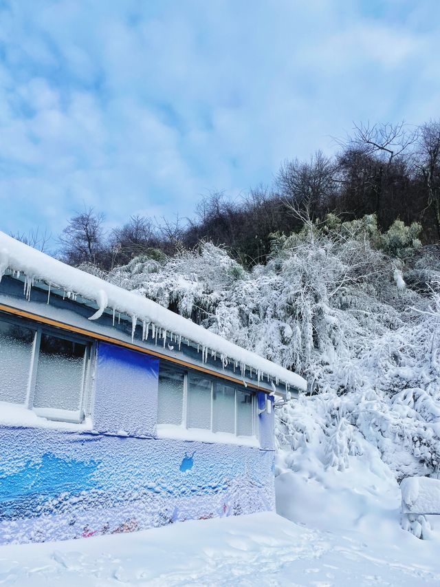 成都周邊遊滑雪攻略|南方人可真的太喜歡看雪啦~