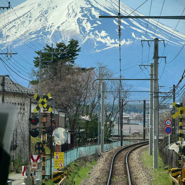 不跟風真的超爽！私藏富士山景位攻略✨ 