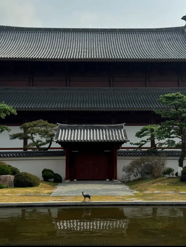 닝하이에서 | 광덕사