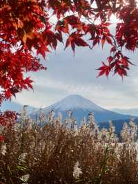 日本2日遊 長者輕鬆暢遊攻略