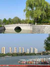 西安世博園 | 邂逅春日限定浪漫