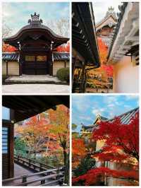 日本之旅·京都｜純玩一日遊攻略這些歷史文化遺產不要錯過