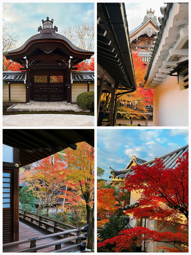 日本之旅·京都｜純玩一日遊攻略這些歷史文化遺產不要錯過