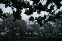 【上海青浦曲水園】雨中江南,絕美打卡地!