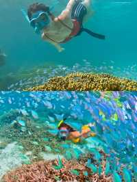 關島潛水攻略：探索海底世界的奇幻之旅