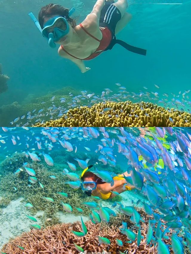 關島潛水攻略：探索海底世界的奇幻之旅