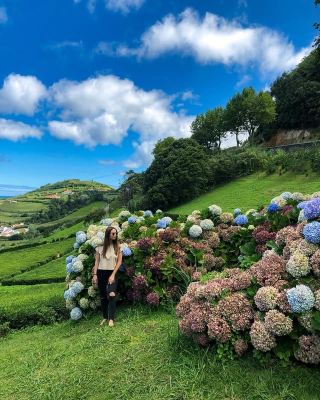 Gorreana Tea Factory in São Miguel, Portugal: Explore the oldest tea factory in Europe