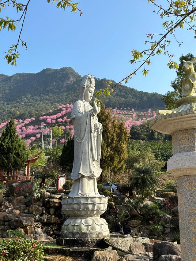 廣東梅州陰那山｜春日快奔赴一場浪漫花約