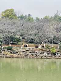 長沙 | 湖南省植物園賞花指南